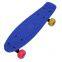 17 inch Mini Cruiser Skateboard Retro Style Plastic Skate Board