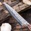 8 Inch VG10 Damascus Chef Knife with Pakkawood Handle Kitchen Knives Slicing Chef's Knife