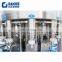 CGF14-12-5 automatic water purification and bottling plant xgf14 12 5 water filling machine