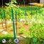Trellis Netting for crop support