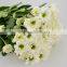 Color most popular fresh white flower chrysanthemum