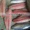 Pacific mackerel fillet and Scomber Japonicus