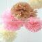 Tissue Paper Pom Poms Wedding Party Decor Craft Paper Flower For Wedding Decoration                        
                                                Quality Choice