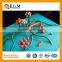 teaching model,biological model
