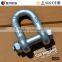 US Type Carbon Steel Drop Forged Anchor U Shackles