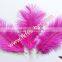 Art And Craft Feather Ostrich Feather Trim For Halloween Party Supplies
