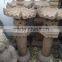 Chinese Antique garden stone lanterns