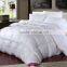 High Quality Hot Sale Mulberry Silk Quilts