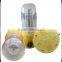 Wholesale Rechargeable Portable Camping Lantern
