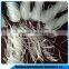 500Mpa tensile strength low price sarciniform pp fiber