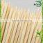 Vegetarian barbecue recipes Bamboo skewers