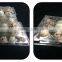 Plastic Quail Tray Quail Egg Packaging Quail Egg Cartons for Sale