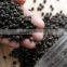 2015 Dried Style And Raw Processing black pepper