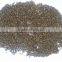 Best Jue Ming Zi in Chinese Cassia Tora Seed, Cassia Tora seeds