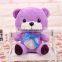 China Toy Factory Soft Toys Custom Kids Toys Teddy Bears Wholesale