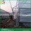 Sawtooth type polycarbonate greenhouse fiberglass greenhouse