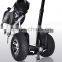 adults golf cart electric self balanced with handled hoverboard