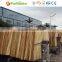 Eucalyptus core veneer for plywood