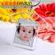 Photo/picture Clear Acrylic Key Chain