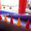 Large Enclosed Ball Pond Inflatable For Sale