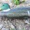 Plastic blowing floating mallard duck hunting decoy