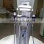 Raynol 2015 New Product Multifunction Microneedle Fractional RF Laser Beauty Salon Equipment