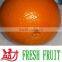 Fresh Navel Orange