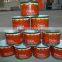 Drum tomato paste and concentrate tomato paste and aseptic package tomato paste