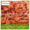 Cooked and Frozen Vannamei Shrimp (CHOSO)