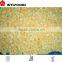 china price hot sales frozen mango dices