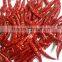 Exporters of Hot Teja Chilli