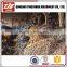 Competitive Price DIN763 Forged Chain Link Chain