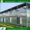 Factory wholesale polycarbonate greenhouse for vegetable prices