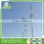 China Manufacturer Long Life 500w cheap vertical wind turbine street lights