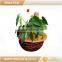 Green Field biodegradable tree ring disc