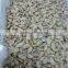 COOKED AND IQF FROZEN YELLOW CLAM MEAT