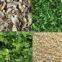 Dehydrated vegetable