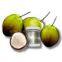 VIRGIN COCONUT OIL