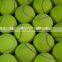 2.5 inch ITF Quality Inflatable Tennis Ball For Training