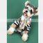 Dog Clothes Spring Autumn Dog Stripe Sweater Pet Clothing Sweater Teddy Dog Schnauzer Pomeranian Corgi Pet Clothes