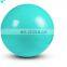 Custom Logo OEM Gym Exercise Eco Friendly Yoga Ball Balance PVC Yoga Ball