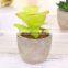 Fake plants simulate succulent bonsai creative flowers simulate potted plants potted trinket
