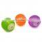 high durable teeth grinding and squeaky whistle dog toy ball