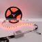 Good quality waterproof led strip smd 5050 RGB dc12v led strip lighting kit