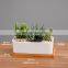 Best Selling Humanoid Succulent Giant White Planter Plant Indoor Drawing Big 1 Pot Ceramic