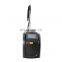 Hot sale mini portable pico laser pigment removal korea q switched machine for tattoo removal machine