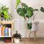 Hot Product White Bamboo Plant Stand Planter Holder Removable Legs Vietnam Supplier