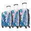 OEM PRINTED LUGGAGE SET FOR USA, DELFUN TORO Luggage