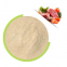 Food Grade Yeast Extract Enzyme Powder For Meat Made In China