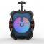 Portable Active Partybox Big Bass Karaoke Speaker Led Light 30w BT Speaker With Wireless Microphone